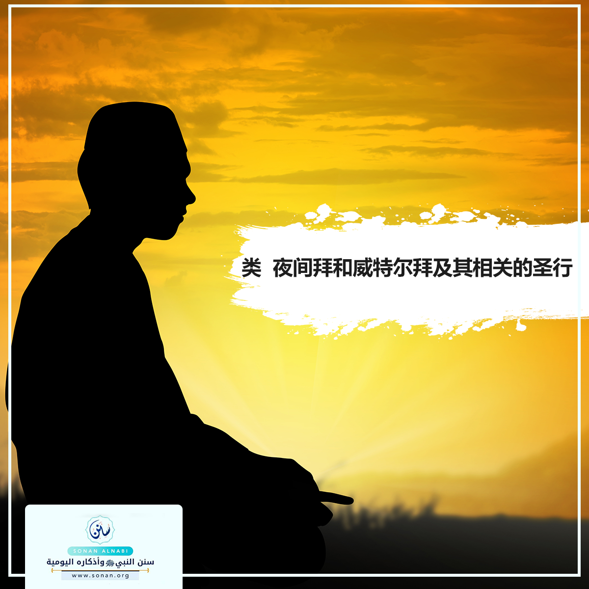 类  夜间拜和威特尔拜及其相关的圣行