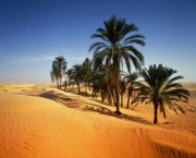 Une brève histoire de l’islam (partie 1 de 5) : Le prophète de l’islam