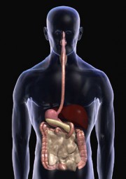 एक योजनाबद्ध प्रणाली सभी विवरणों के साथ