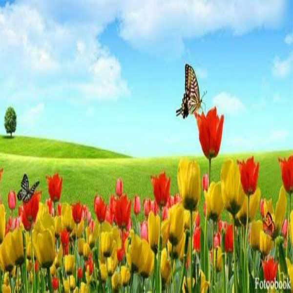 JÉSUS DANS L’ISLAM (PARTIE 3 DE 3)