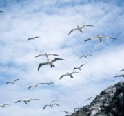 你们都是迷误的，我已引导者除外（2/2）:一切能力和力量只来自真主