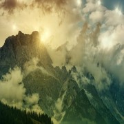 Sura at-Tin (Die Feige)