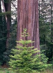 Как враг становится другом