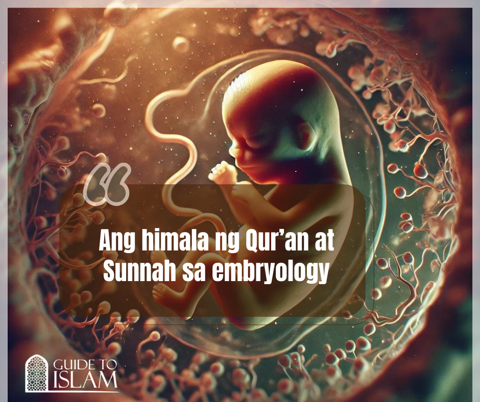 Ang himala ng Qur’an at Sunnah sa embryology