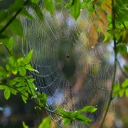 发现真实的耶稣（4/6）：经文比较（二）