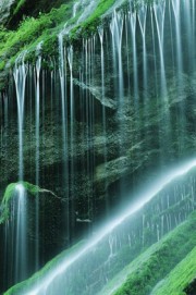 Вера в божественное предопределение