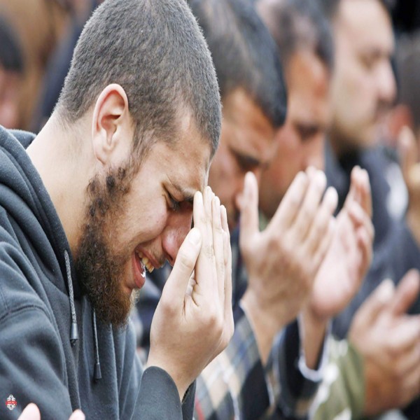 Belief in Divine Decree(part 2 of 2)