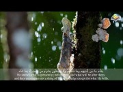 "Allah - there is no deity except Him,the Ever-Living, the Sustainer of [all] existence."