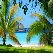 Following the Evidence Wherever It Leads