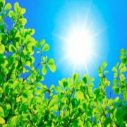 Impossibility of God’s Attributes