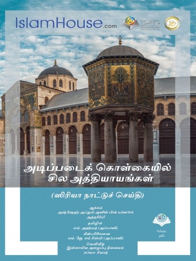 அடிப்படைக் கொள்கையில் சில அத்தியாயங்கள்