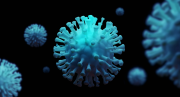 Coronavirus - Insegnamenti del profeta Muhammad (PBSL)