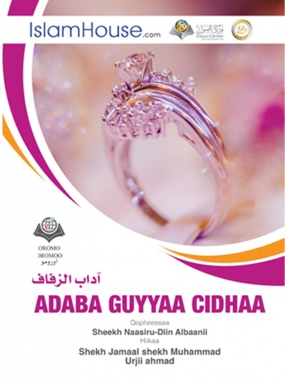 Adaba Guyyaa Cidhaa