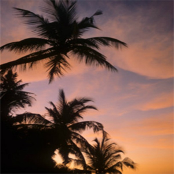 DAS ISLAMISCHE KONZEPT DER SPIRITUALITÄT