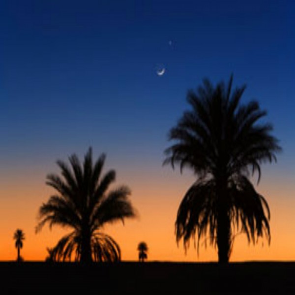 DIE WELT DER ĞINN (TEIL 1 VON 2)