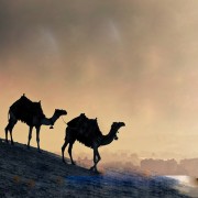 Die erste Auswanderung (teil 2 von 2): kommt herbei zu einem gleichen Wort zwischen uns und euch