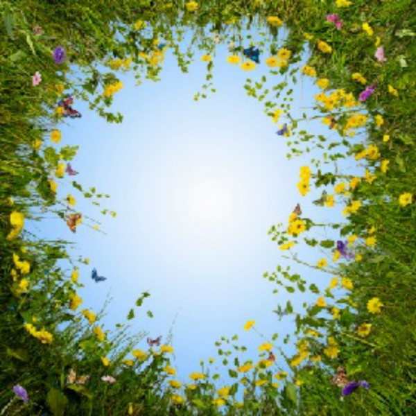 GOTT IST AL-HAKIEM – DER WEISE