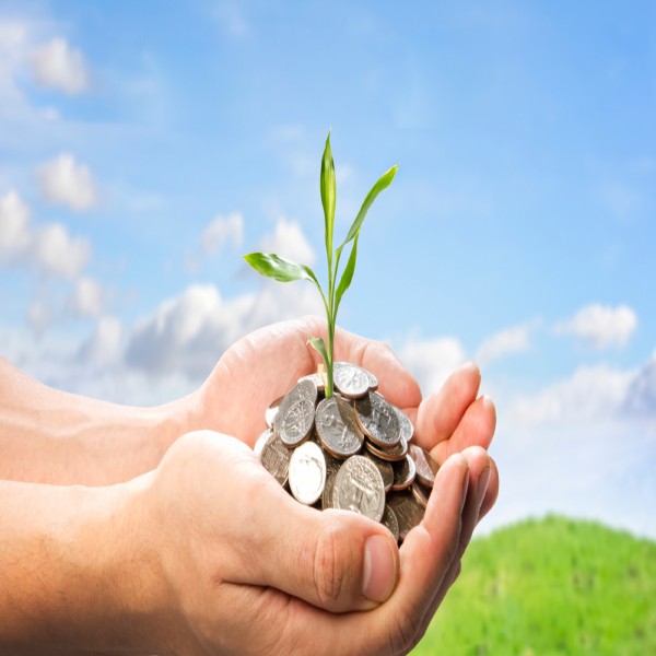 Easy Guide to Zakah (part 2 of 2)