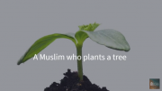 Environment in Islam