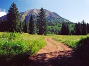 Proteção Ambiental no Islã (parte 7 de 7): Proteção do Homem e do Meio Ambiente em Relação a Danos