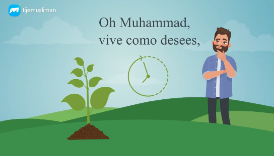 El ángel Gabriel aconsejó al Profeta Muhammad ﷺ