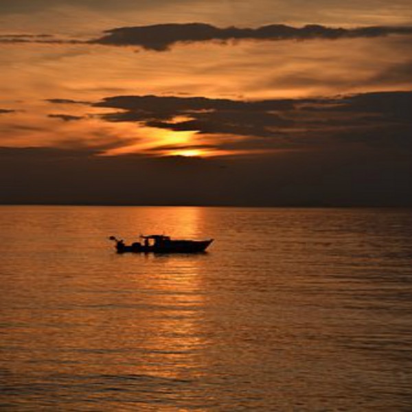 මුහම්මද් නබි තුමාණන් පෙන්වා දුන් ආකාරයට වුදු ඉටුකිරීම