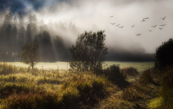 The Trial of Homosexuality