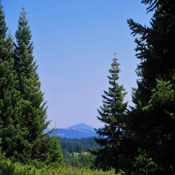 (28) अठ्ठाईसवीं वसियत: अगर कोई माहवारी में सम्भोग करले तो उसे कफ़्फ़ारा देने की वसियत।