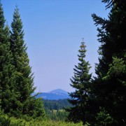 Le système judiciaire en islam (partie 2 de 2) : Sa base légale et la jurisprudence islamique