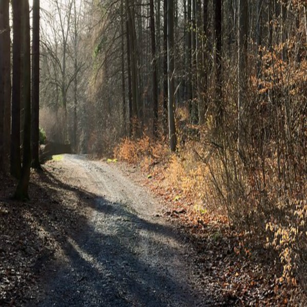 LA VIDA DESPUÉS DE LA MUERTE (PARTE 2 DE 2): LOS BENEFICIOS DE LA CREENCIA