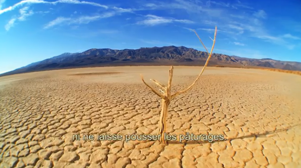 La lueur de la guidance et l'importance de la science.
