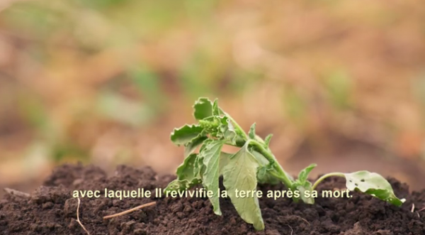 Les éclairs, crainte et espoir