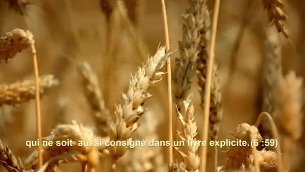 Clés du mystère divin