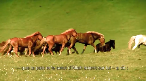 La valeur des chevaux