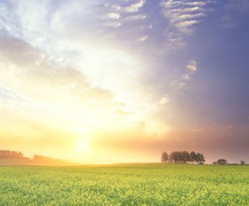 මුහම්මද් නබි තුමාණන් සලාත් කල ආකාරය