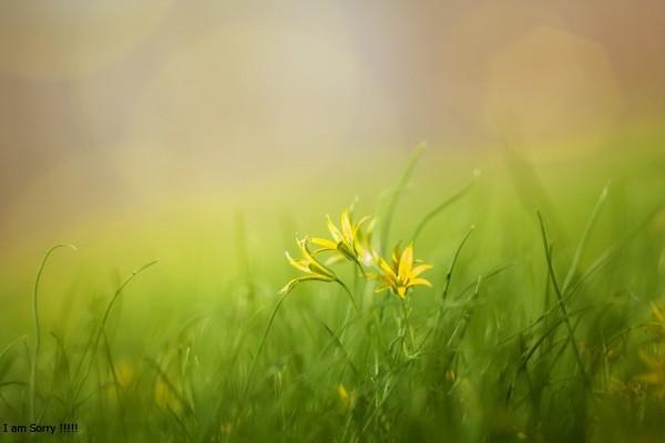 When Life Begins  - In the Shadow of Throne