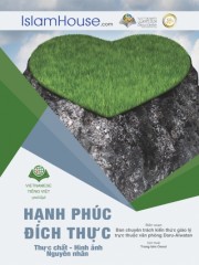 Hạnh phúc Thực chất – Hình ảnh – Nguyên nhân