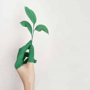 इस्लाम और दूसरे धर्मों में महिला का उत्तराधिकार (विरासत)