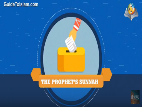 How did the Sunnah reach us?