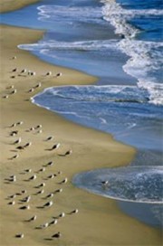 Как вести себя в случае болезни (часть 1 из 2): Стойко переноси недуги