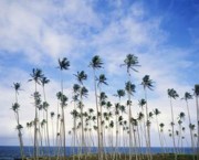 Права человека в Исламе (часть 2 из 3): Статьи с 1 по 3