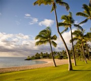 Controle de Infecção no Islam