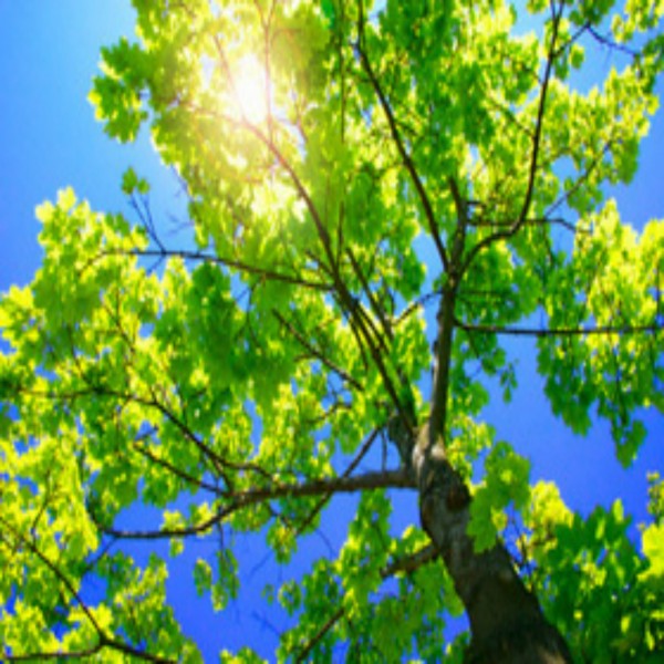 GOTT LEUGNEN, DIE REALITÄT LEUGNEN: WARUM WIR KEINEN BEWEIS FÜR GOTT BRAUCHEN (TEIL 2 VON 3)