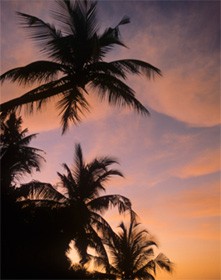 WARUM WIR KEINEN BEWEIS FÜR GOTT BRAUCHEN (TEIL 3 VON 3)