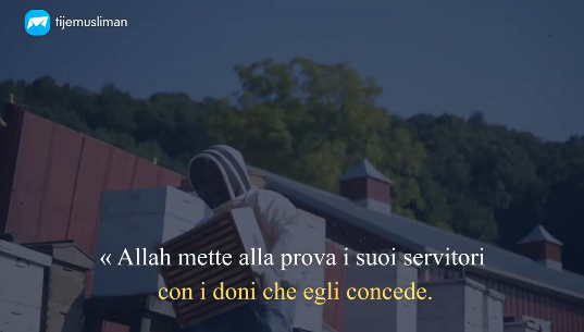 Essere contenti di quello che si ha !