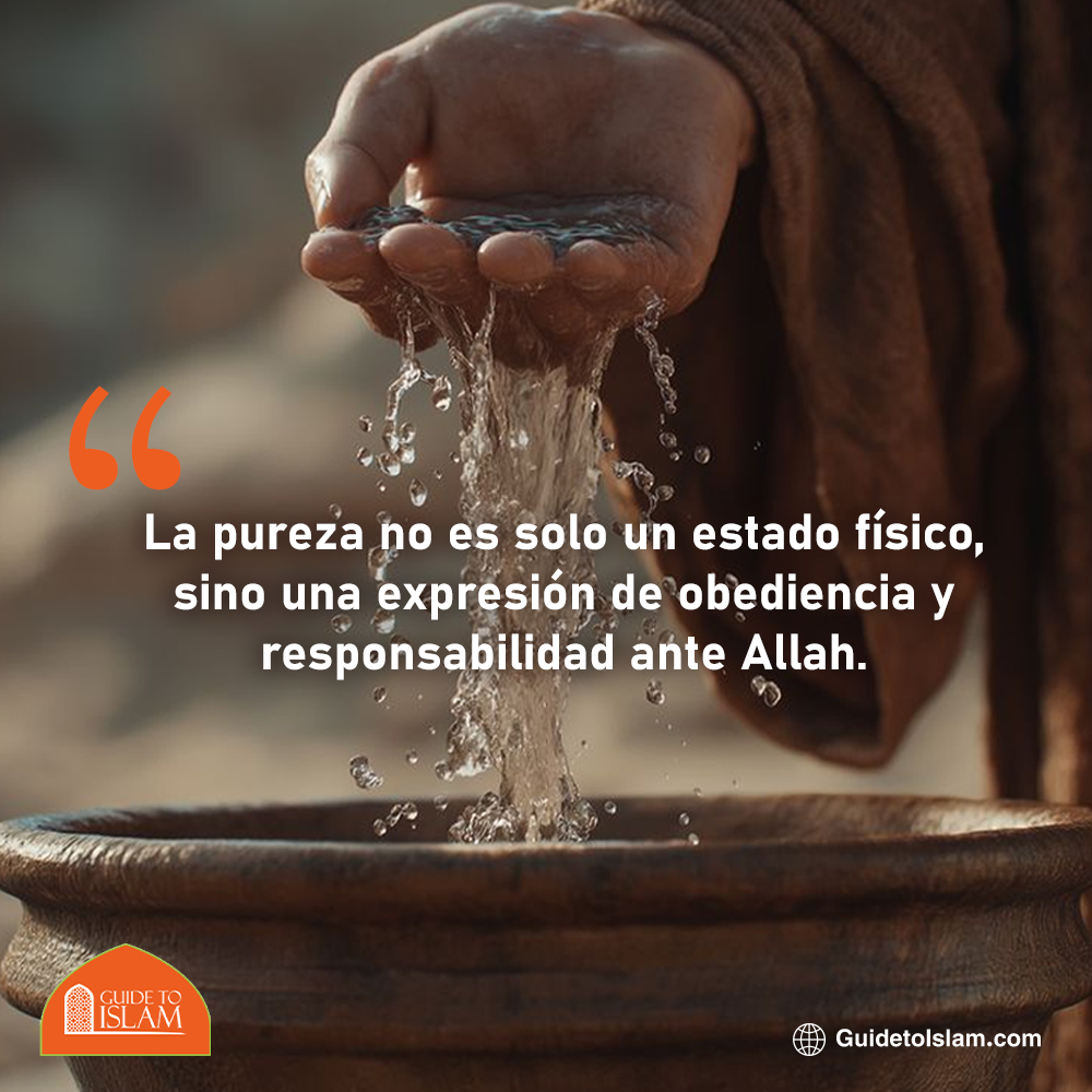 ​La pureza no es solo un estado físico