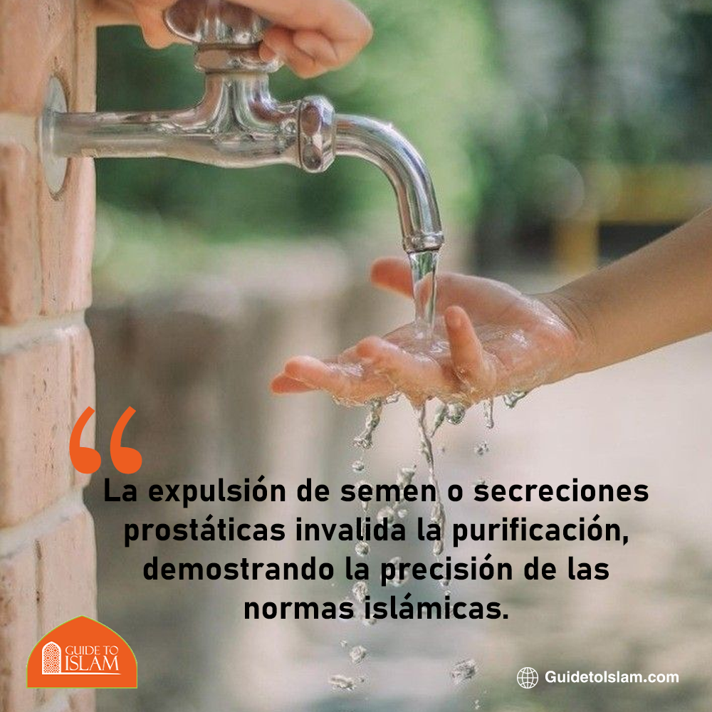 La precisión de las normas islámicas