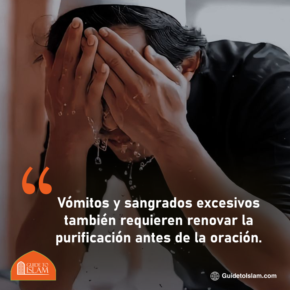 Vómitos y sangrados excesivos también requieren renovar la purificación