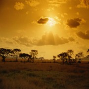 JESUS CHRISTUS – SOHN GOTTES? (TEIL 2 VON 2): “SOHN” ODER “DIENER”?