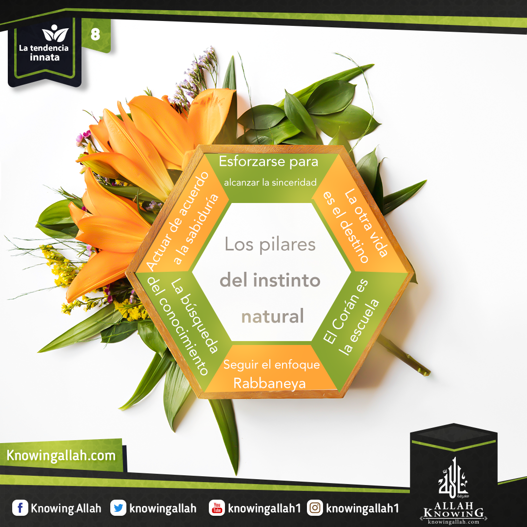 Los pilares del instinto natural